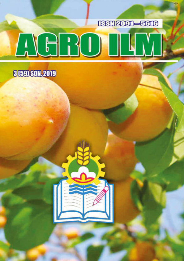 Edition image