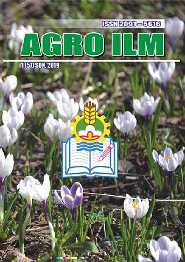 Edition image