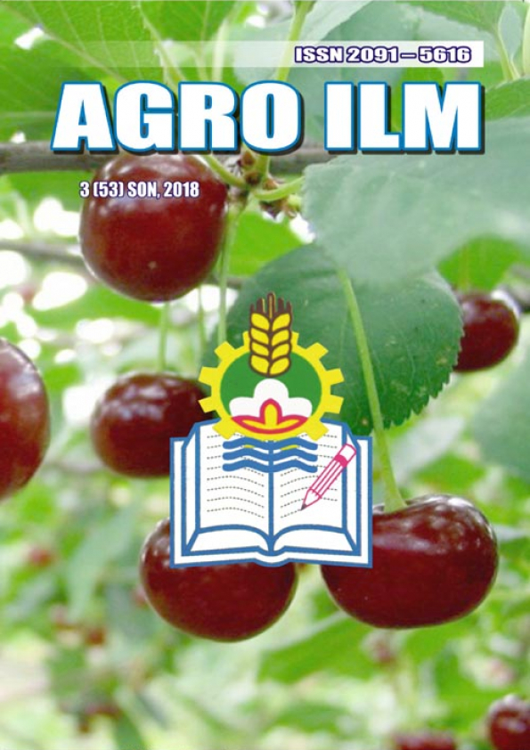 Edition image