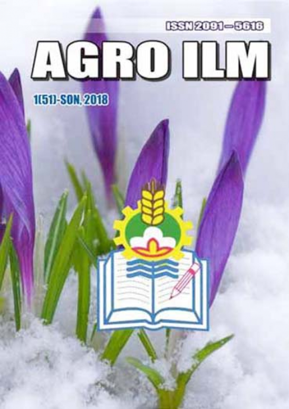 Edition image