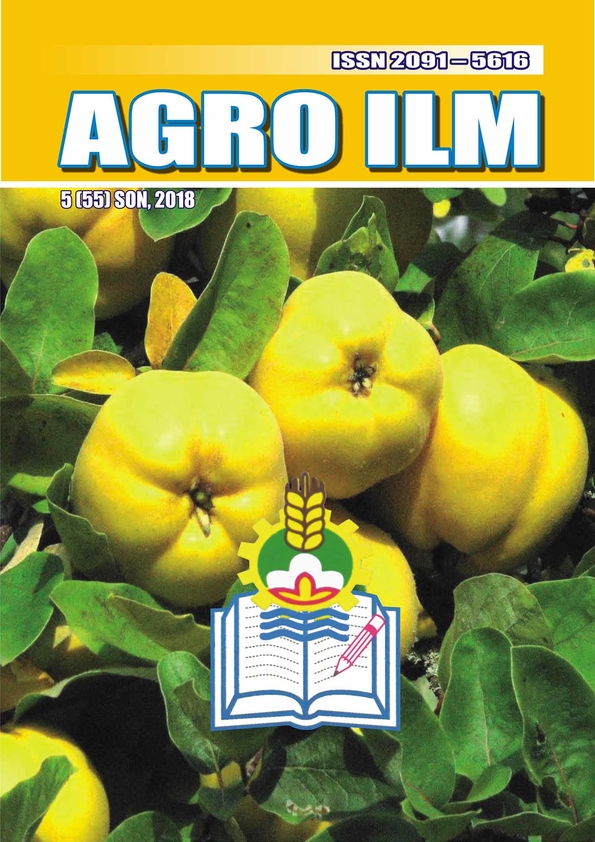 Edition image