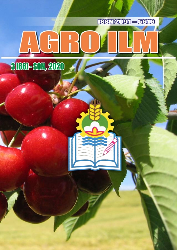 Edition image