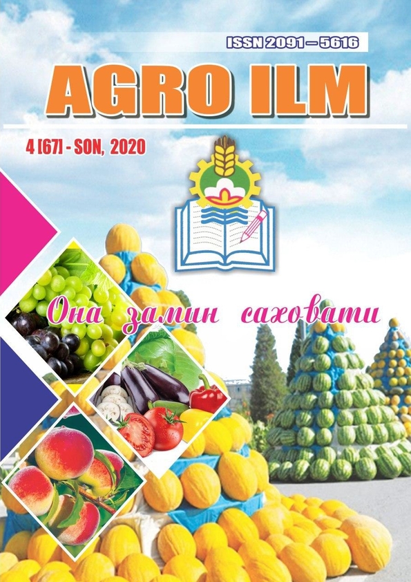 Edition image