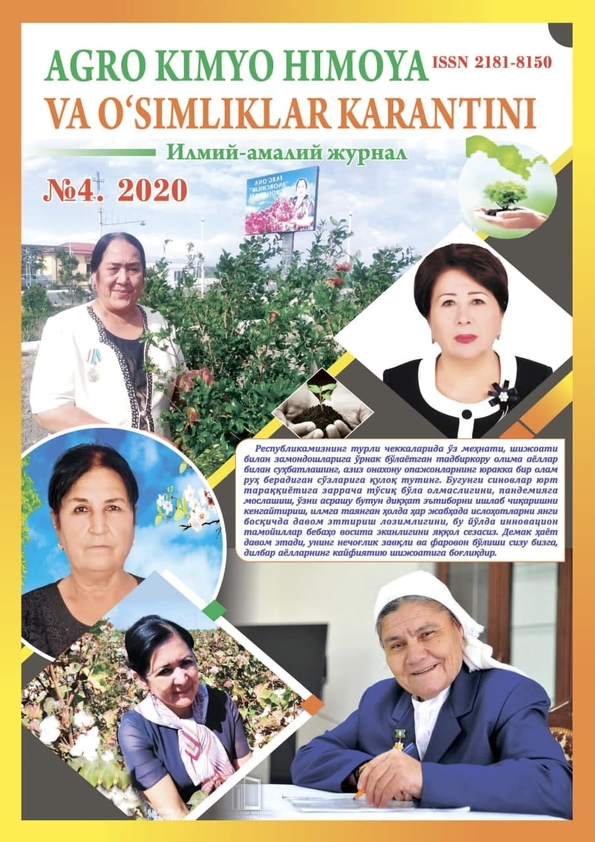 Изображение выпуска