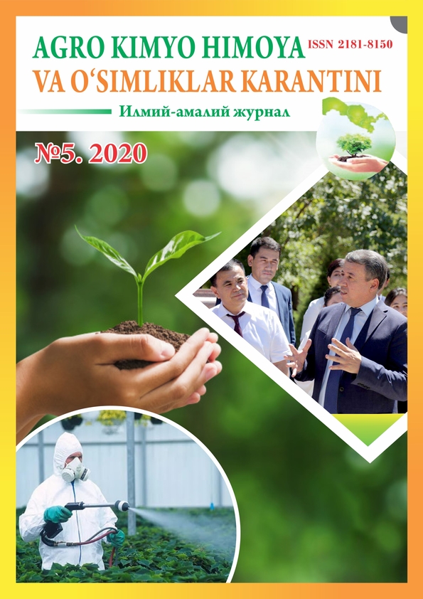 Изображение выпуска
