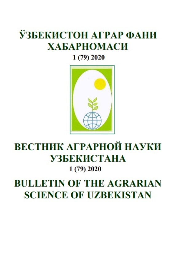 Nashr muqovasi