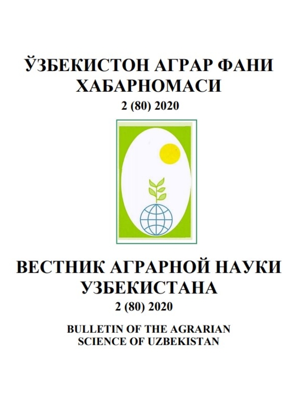 Nashr muqovasi