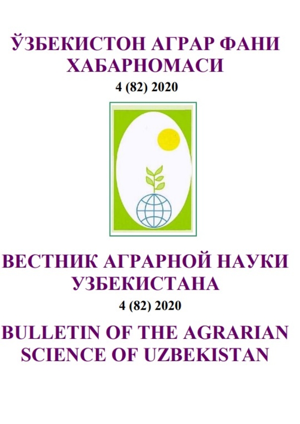 Nashr muqovasi
