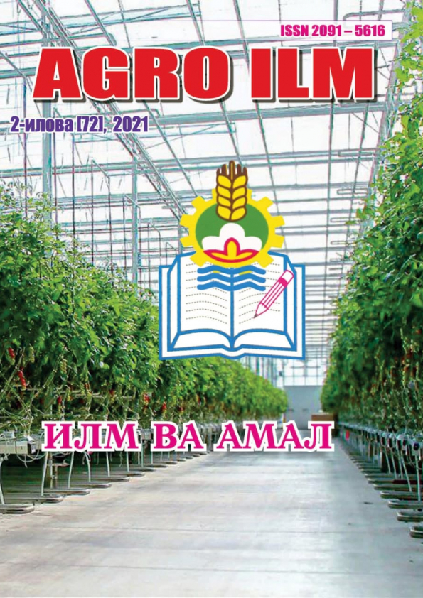 Edition image