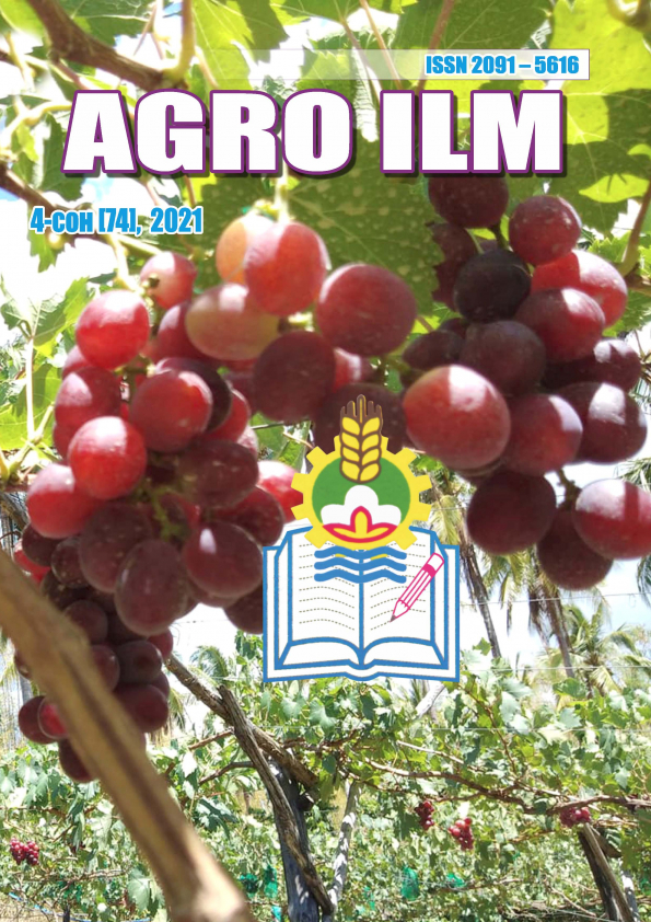 Edition image