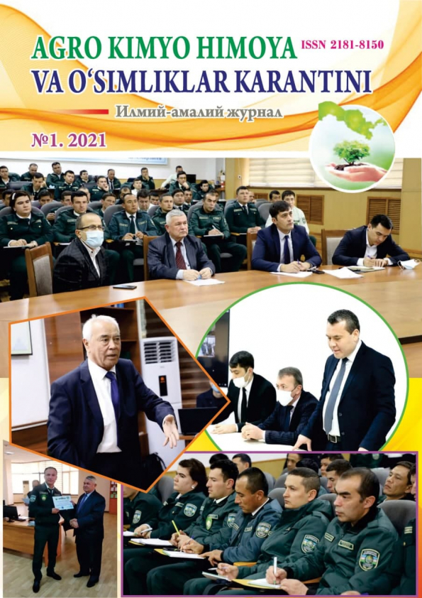 Изображение выпуска