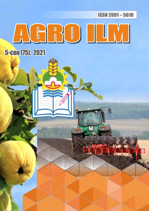 Edition image