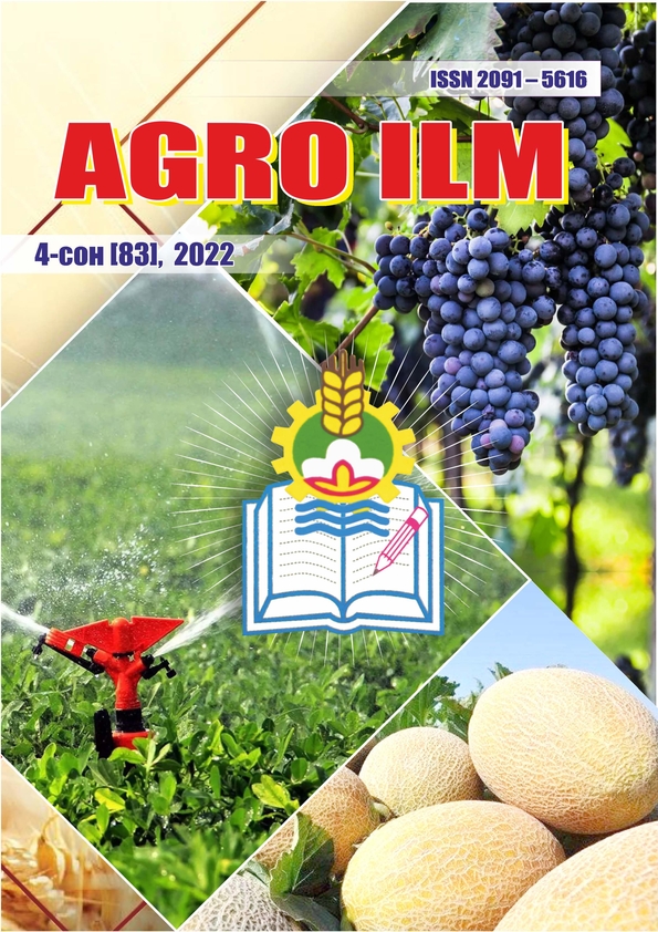 Edition image