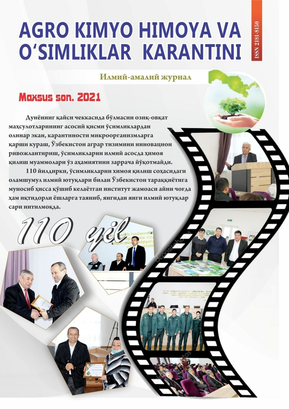 Изображение выпуска