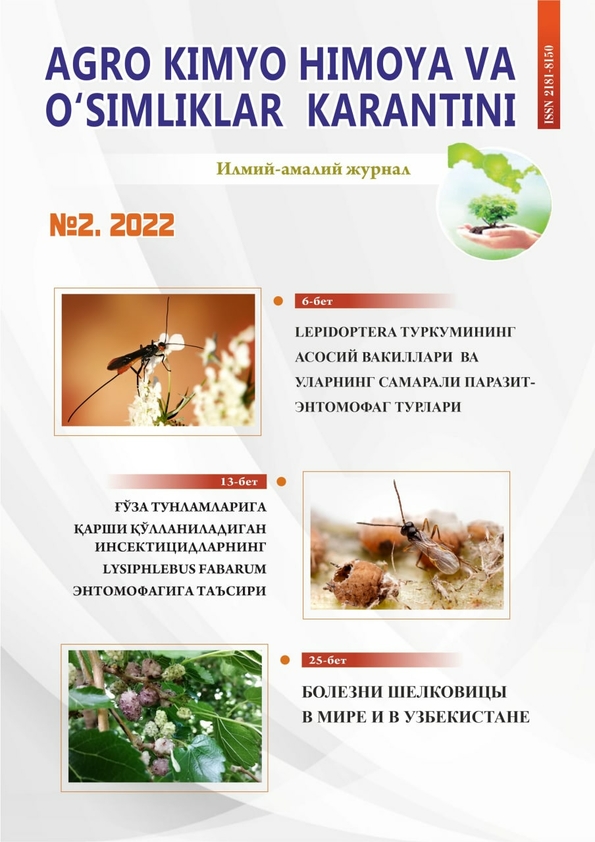 Изображение выпуска