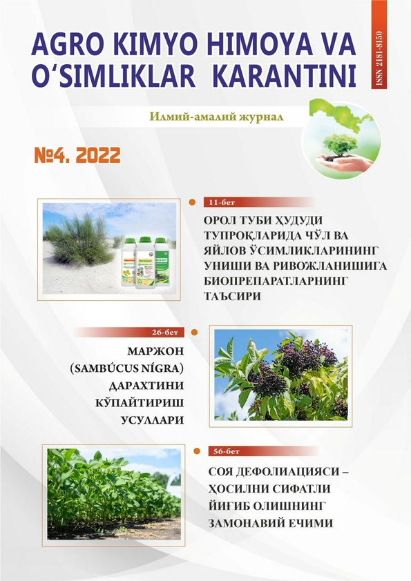 Изображение выпуска
