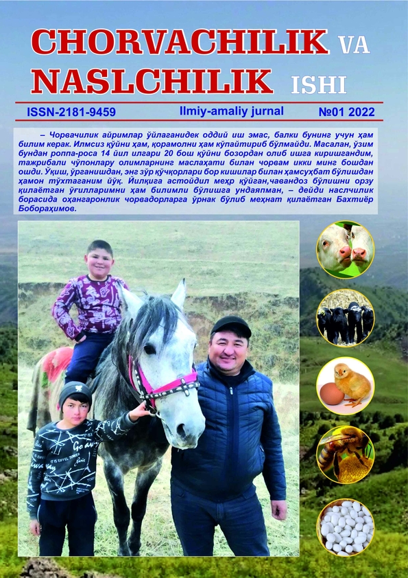 Nashr muqovasi
