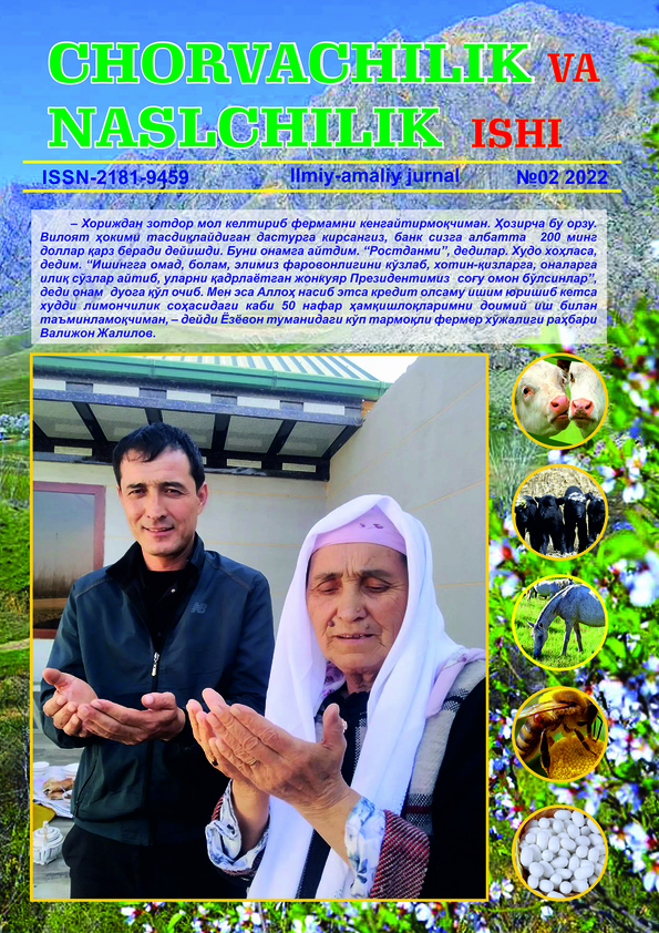 Nashr muqovasi