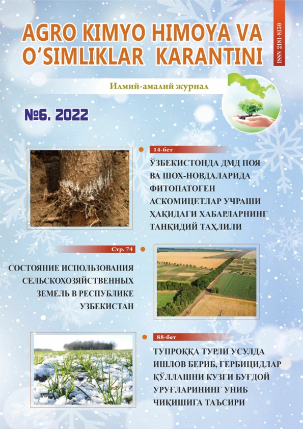 Изображение выпуска