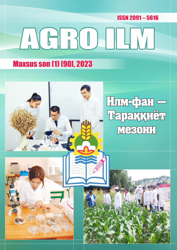 Edition image