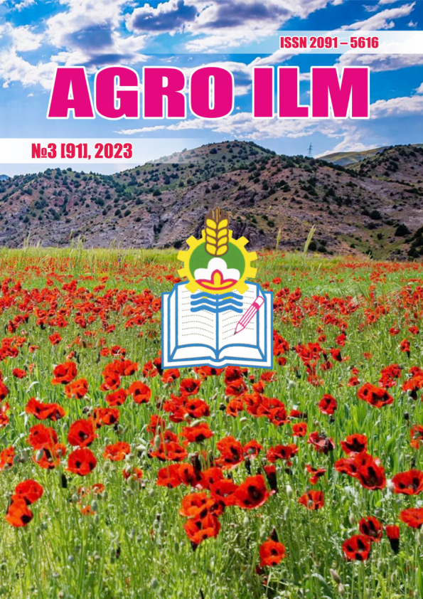Edition image