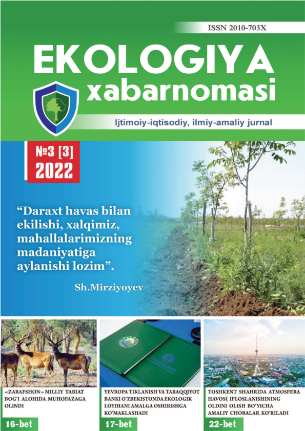 Изображение выпуска