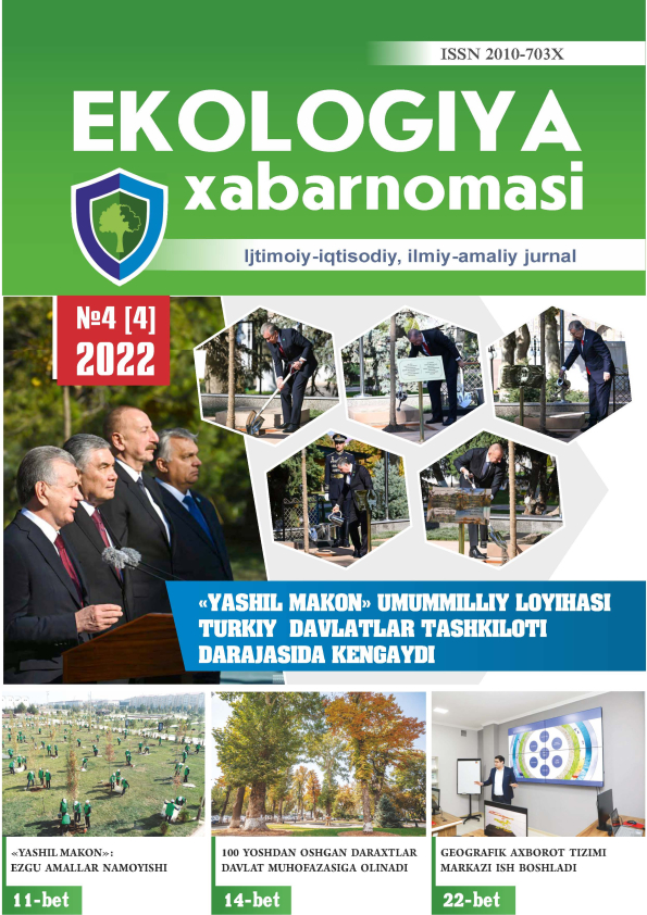 Изображение выпуска