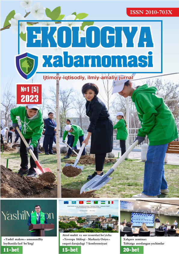 Изображение выпуска