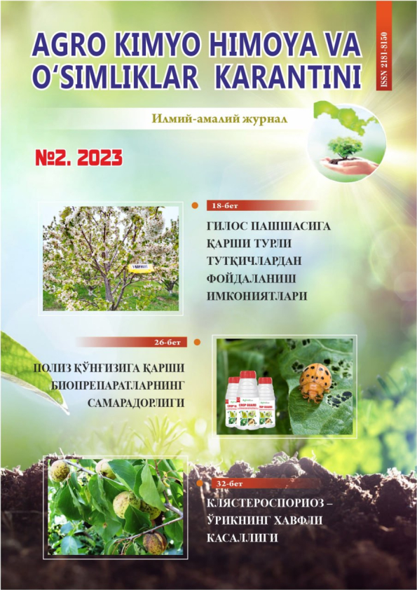 Изображение выпуска