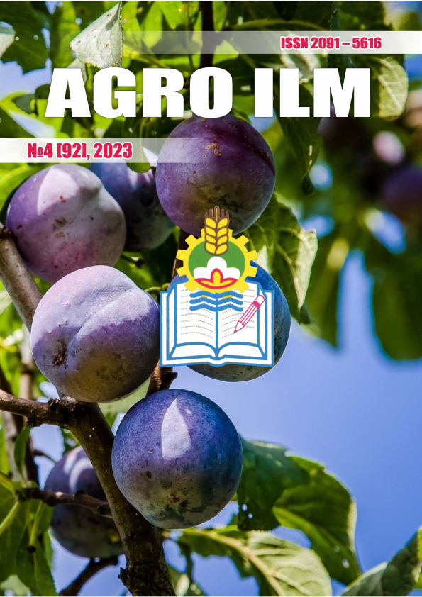 Edition image