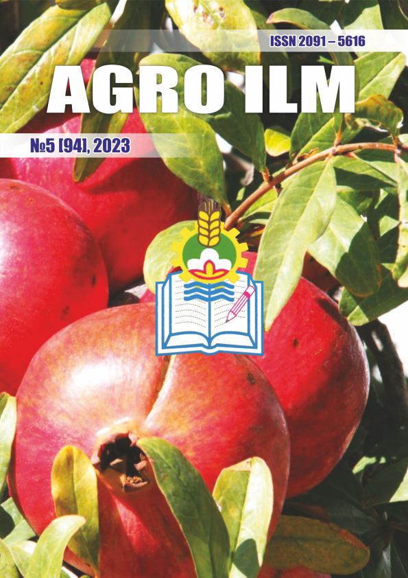 Edition image