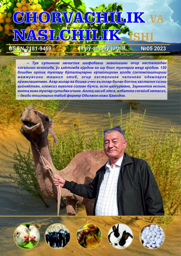 Nashr muqovasi