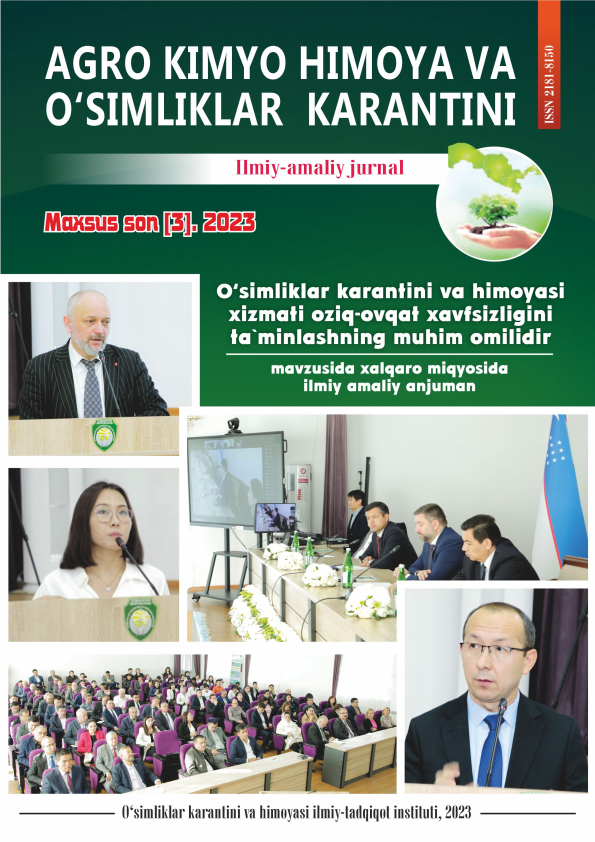 Изображение выпуска