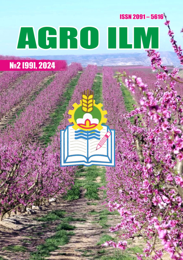 Edition image