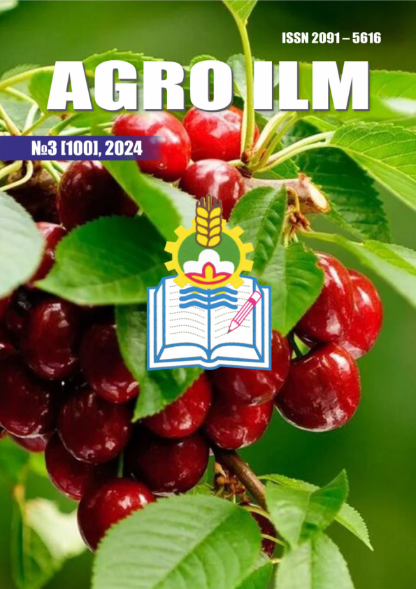 Edition image
